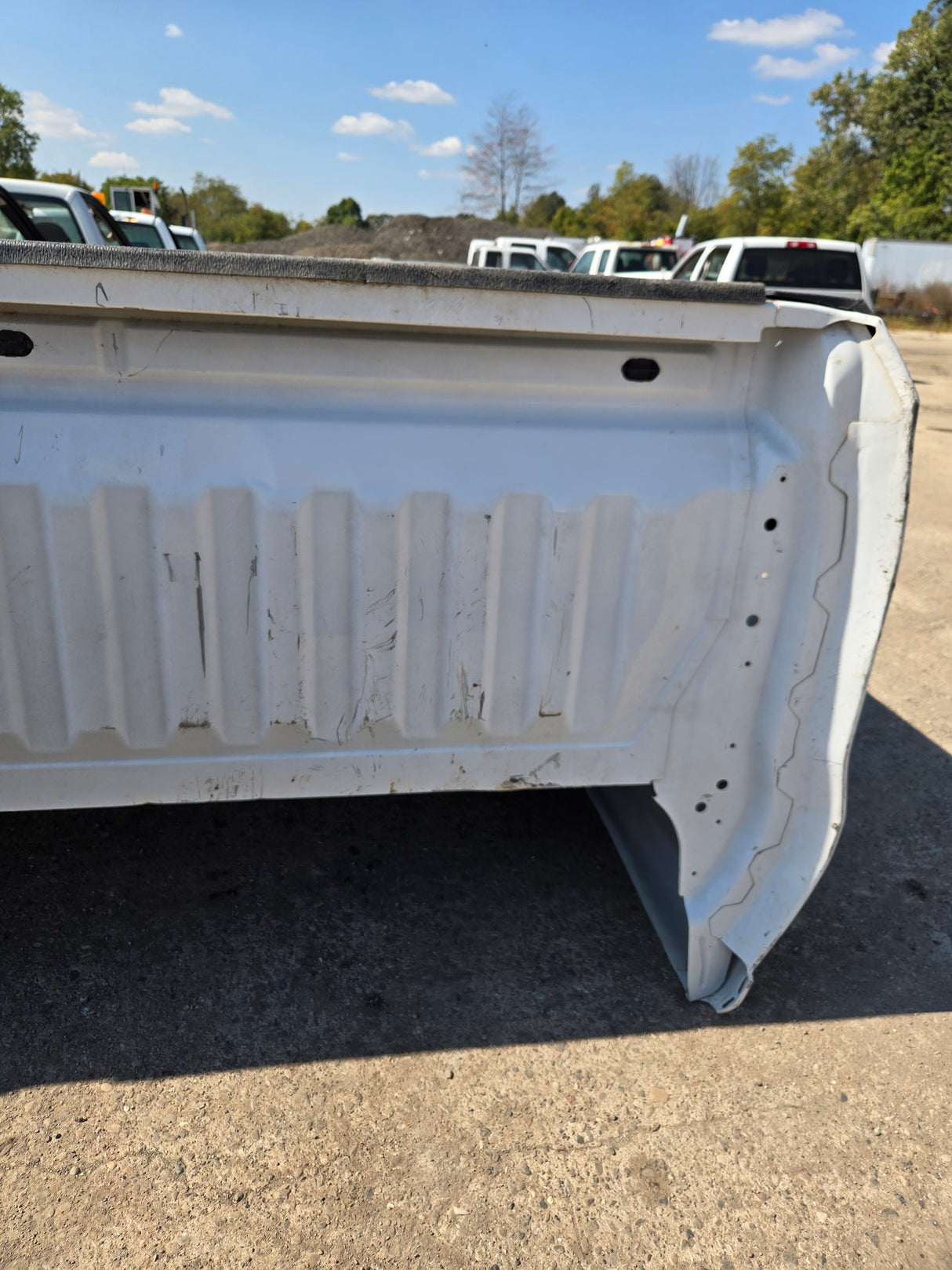 2019-2025 Chevrolet Silverado 1500 8' Long Truck Bed - White