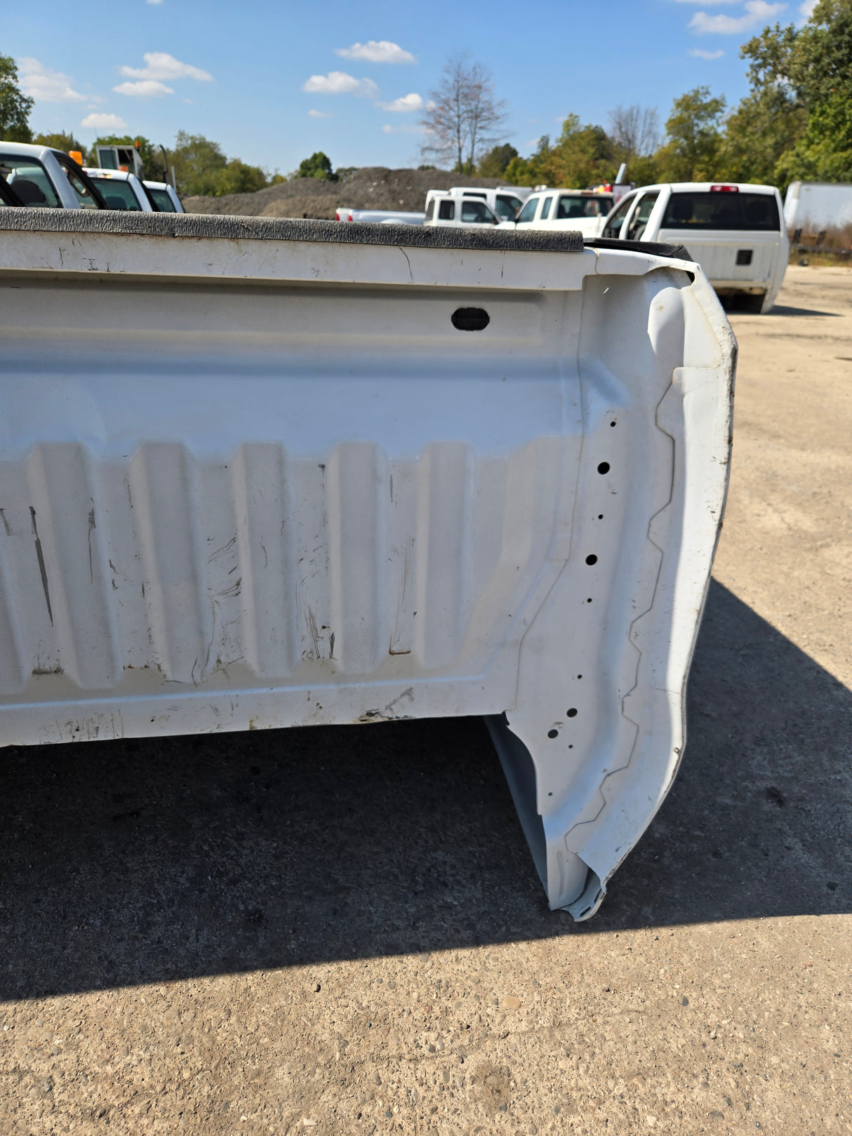 2019-2025 Chevrolet Silverado 1500 8' Long Truck Bed - White