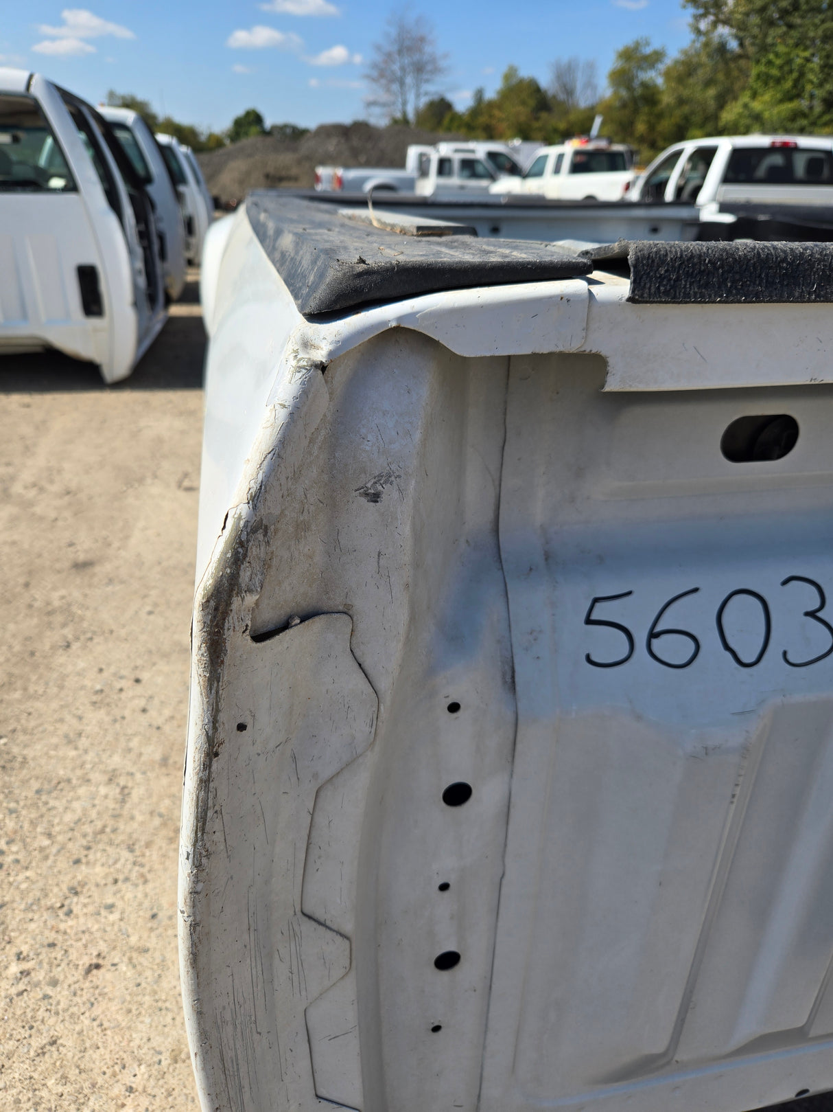 2019-2025 Chevrolet Silverado 1500 8' Long Truck Bed - White