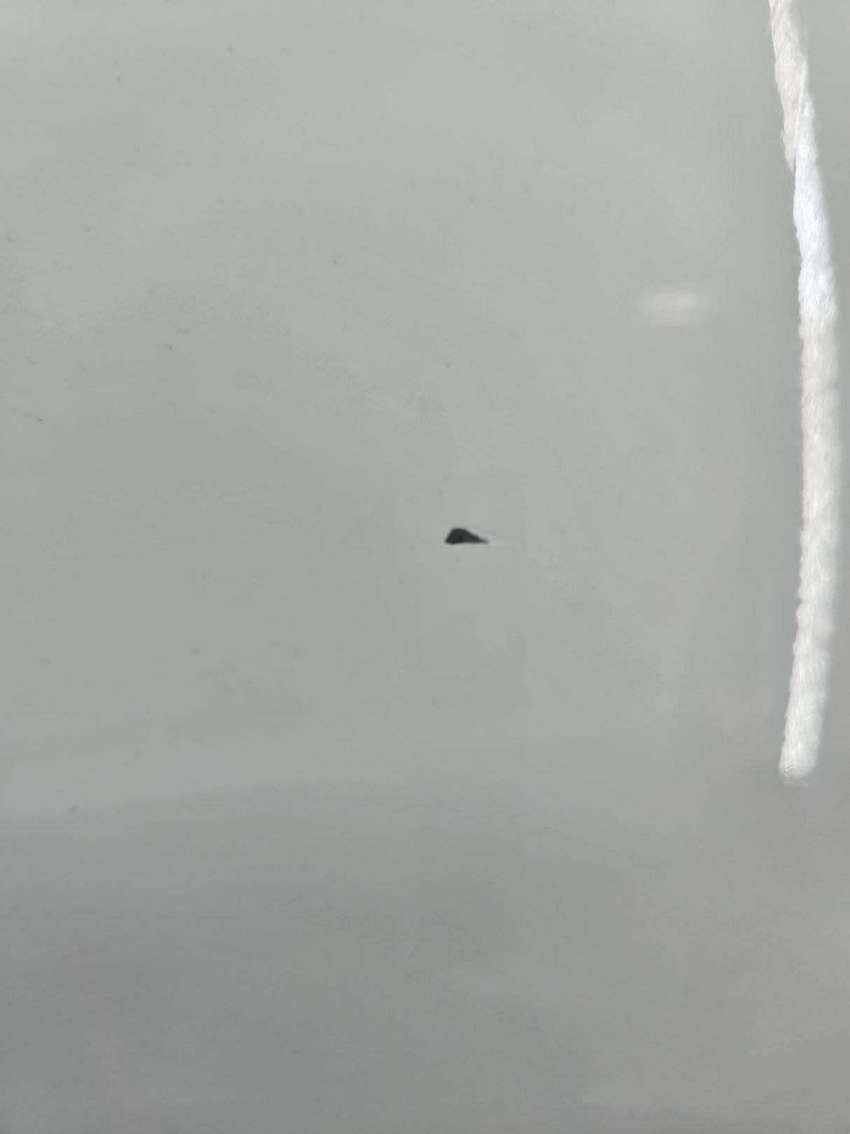 1999-2007 Chevrolet Silverado / GMC Sierra 1500 2500 3500 Tailgate - White