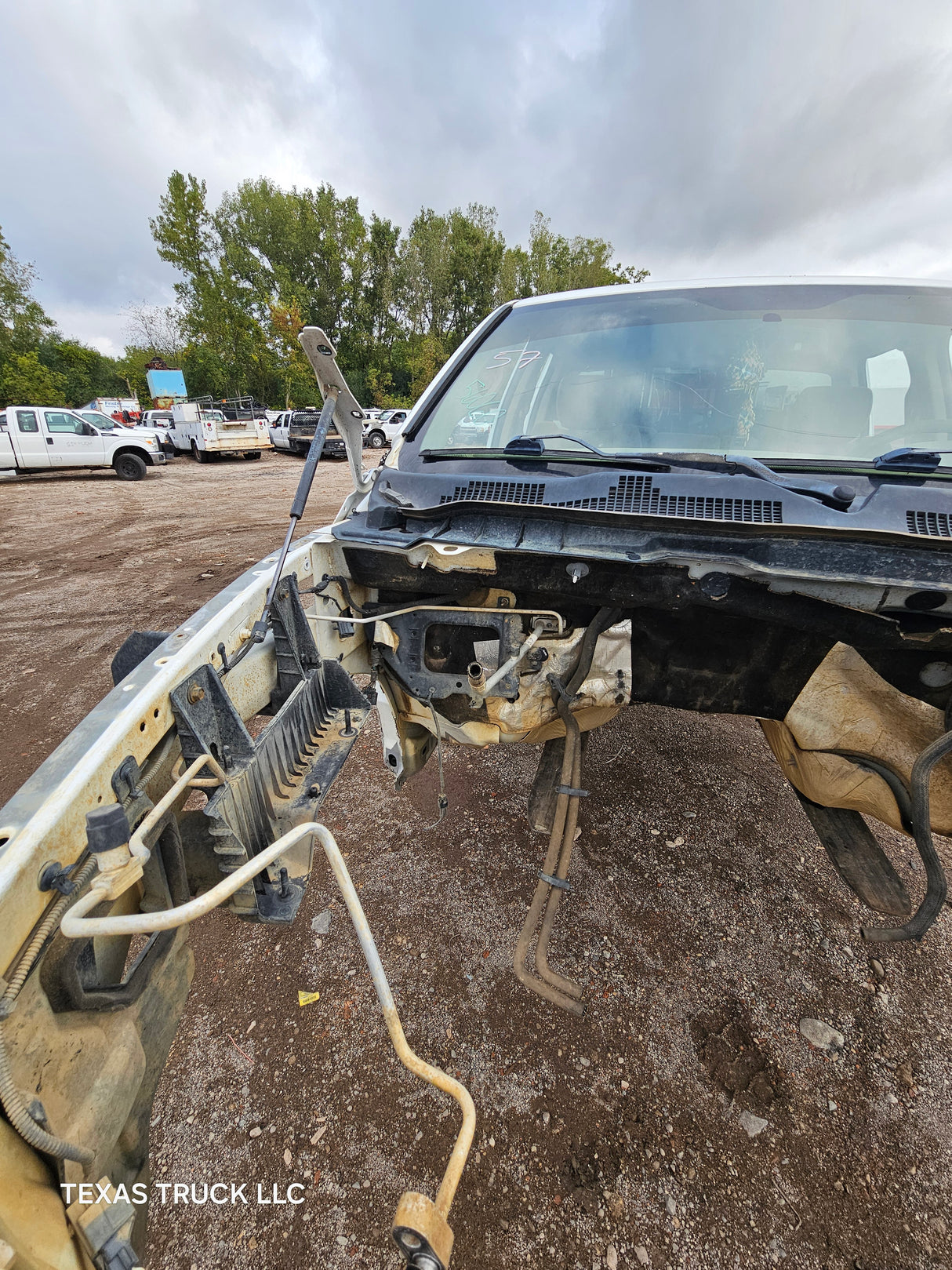 2009-2018 Dodge Ram 1500 4th Gen Quad Cab Cab - White/Tan