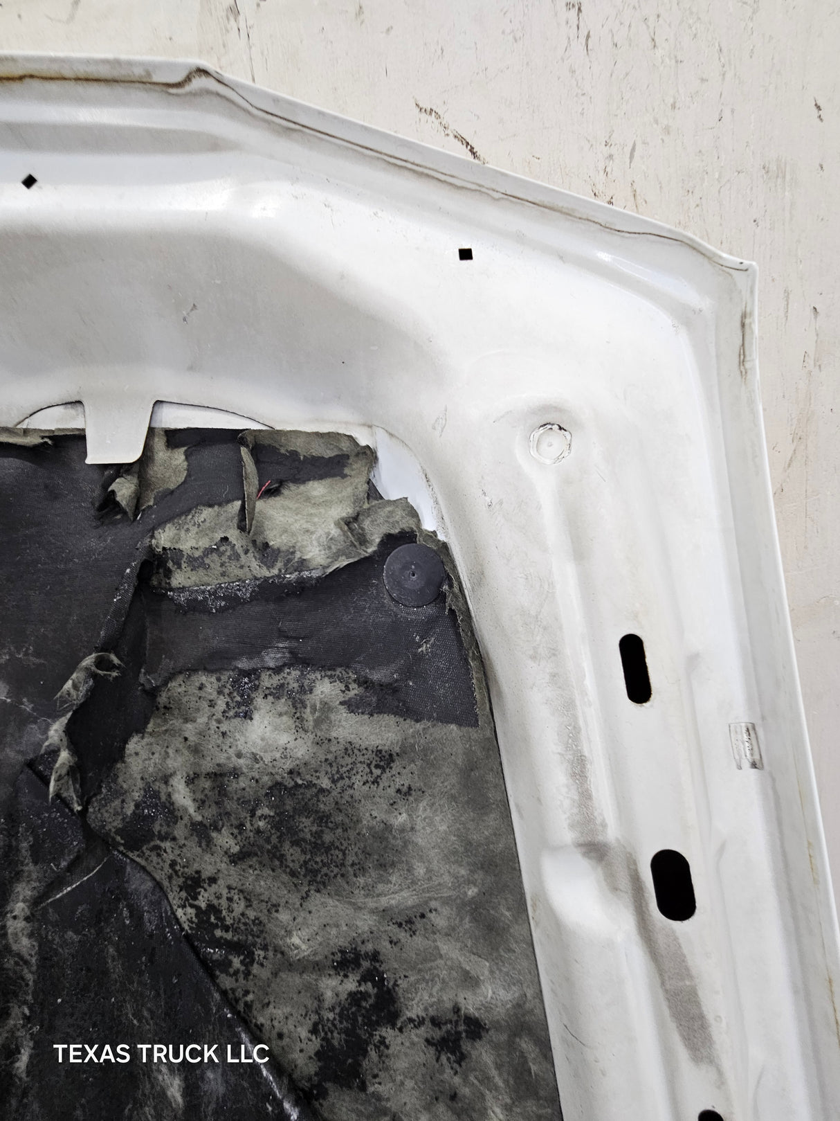 2003-2006 Chevrolet Silverado 1500 2500 'Cateye' Hood - Summit White