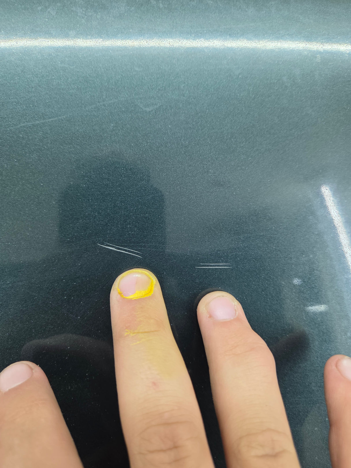 2004-2008 Ford F-150 Tailgate - Dark Green