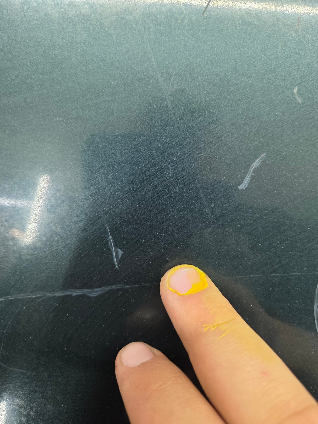 2004-2008 Ford F-150 Tailgate - Dark Green