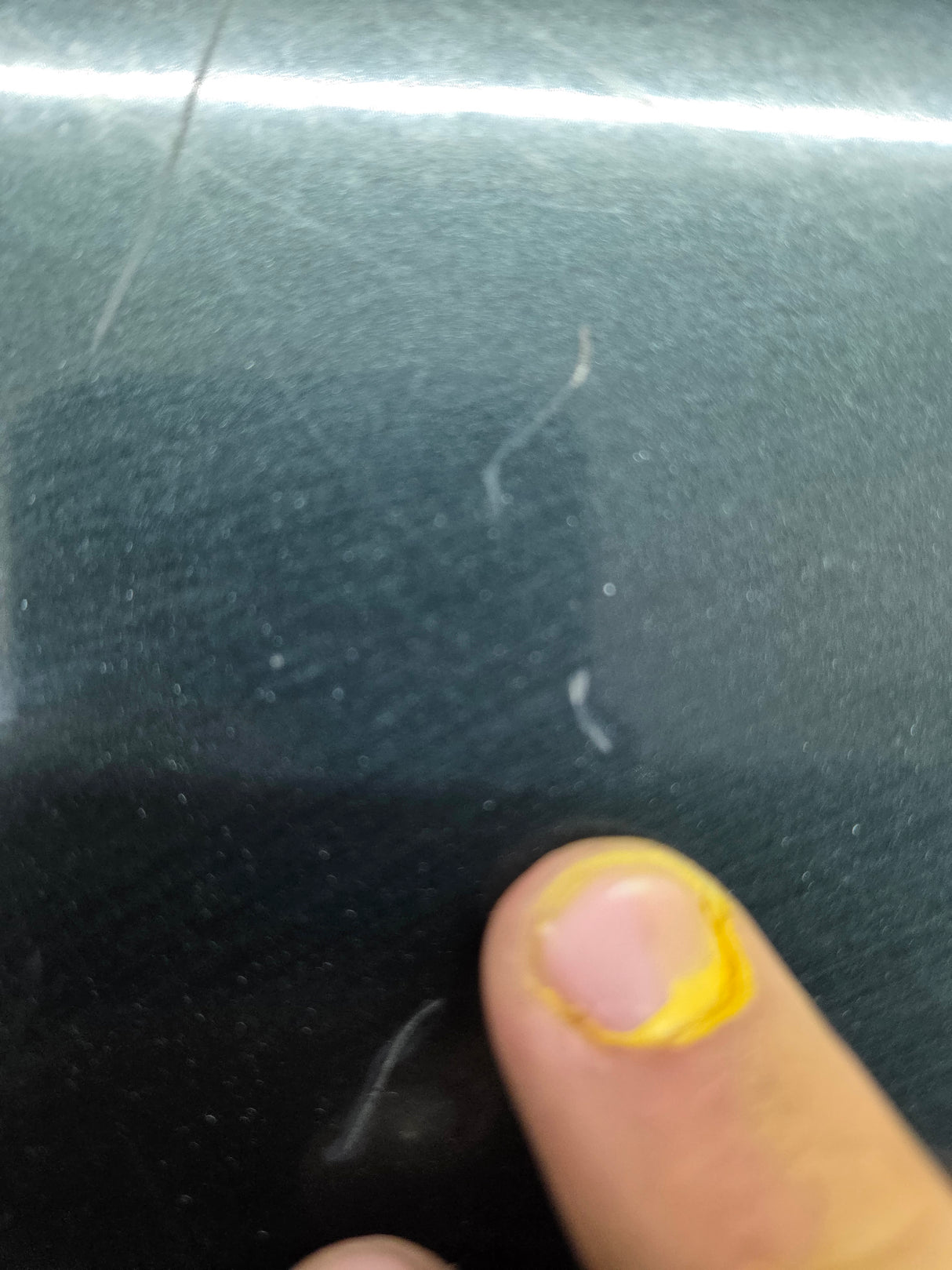 2004-2008 Ford F-150 Tailgate - Dark Green