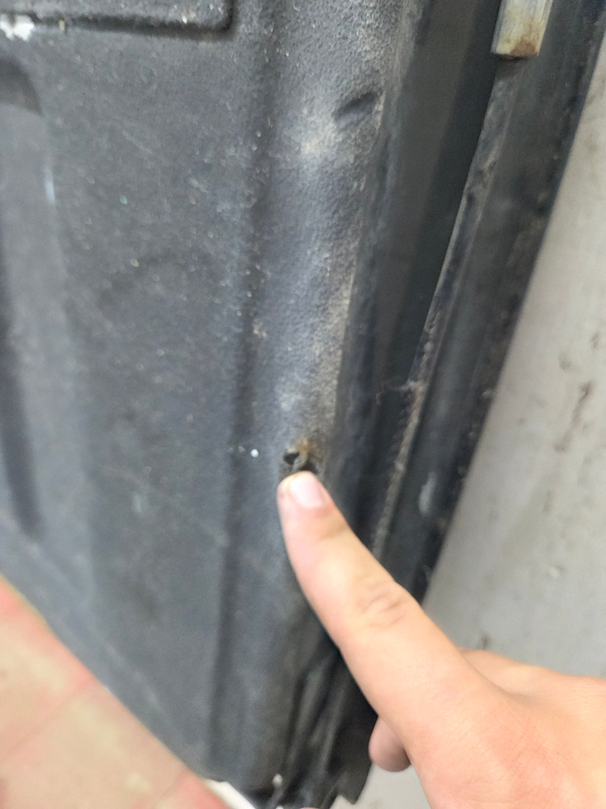 2004-2008 Ford F-150 Tailgate - Dark Green