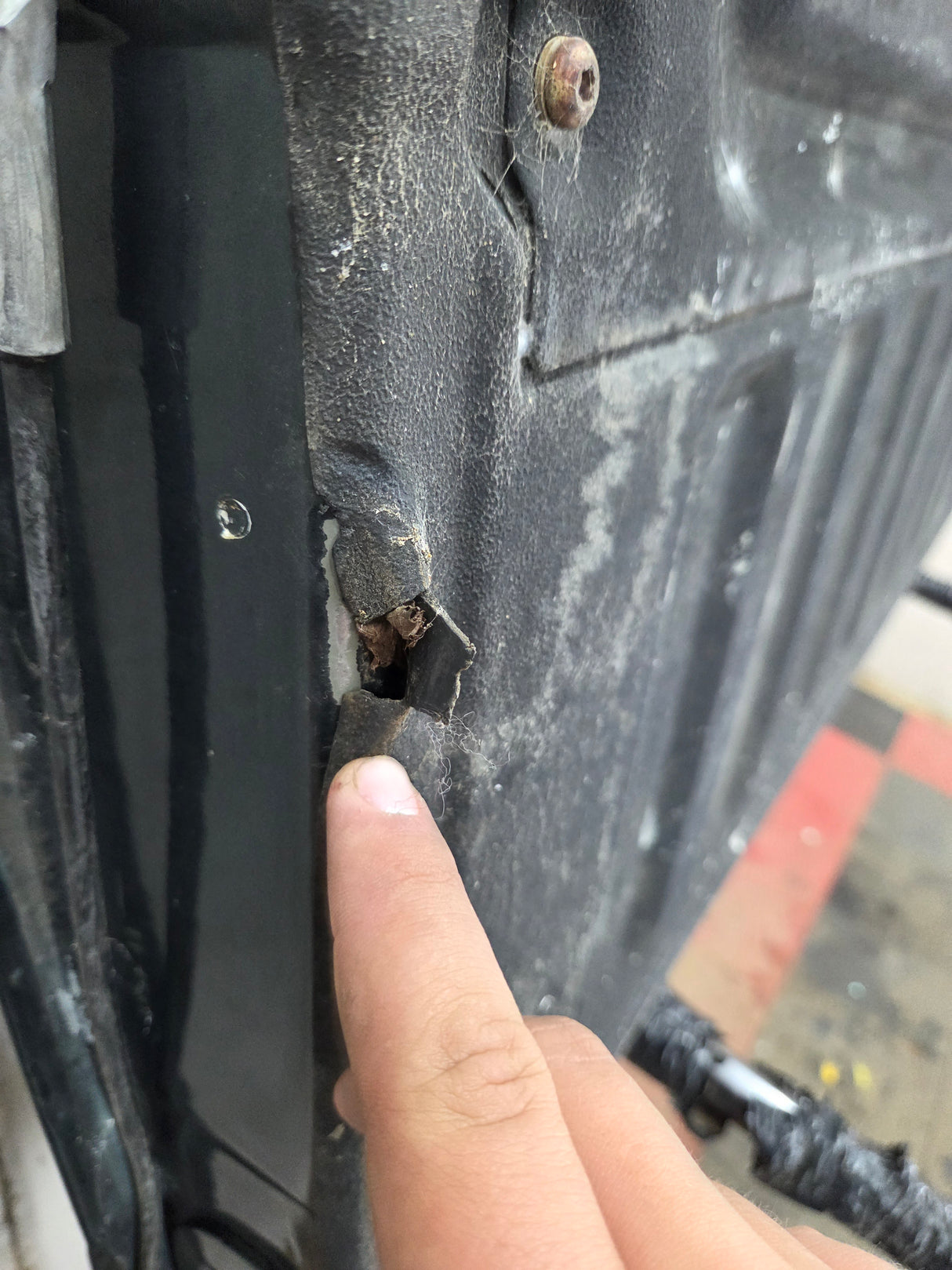 2004-2008 Ford F-150 Tailgate - Dark Green