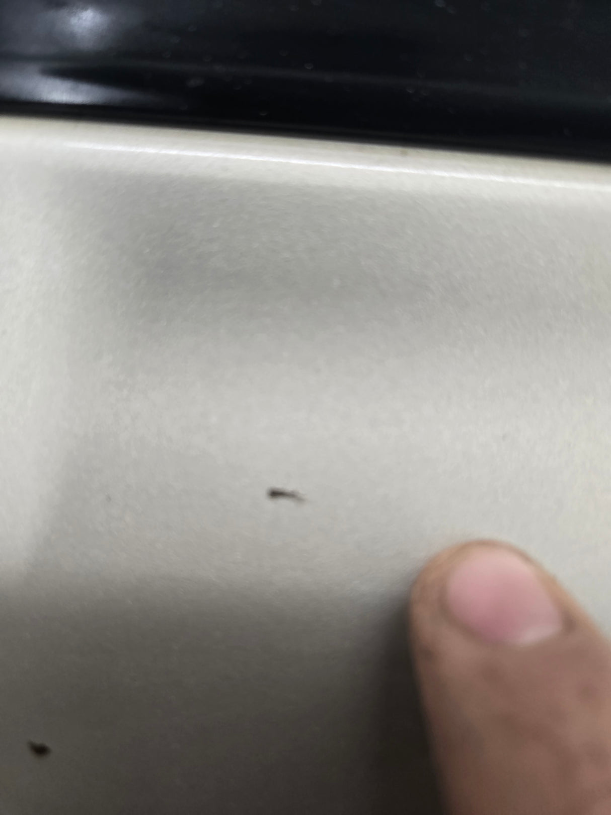 1999-2006 Chevrolet Silverado / GMC Sierra 1500 2500 3500 HD Rear Passenger side Crew Cab rear door RH - Fine Silver Birch Metallic