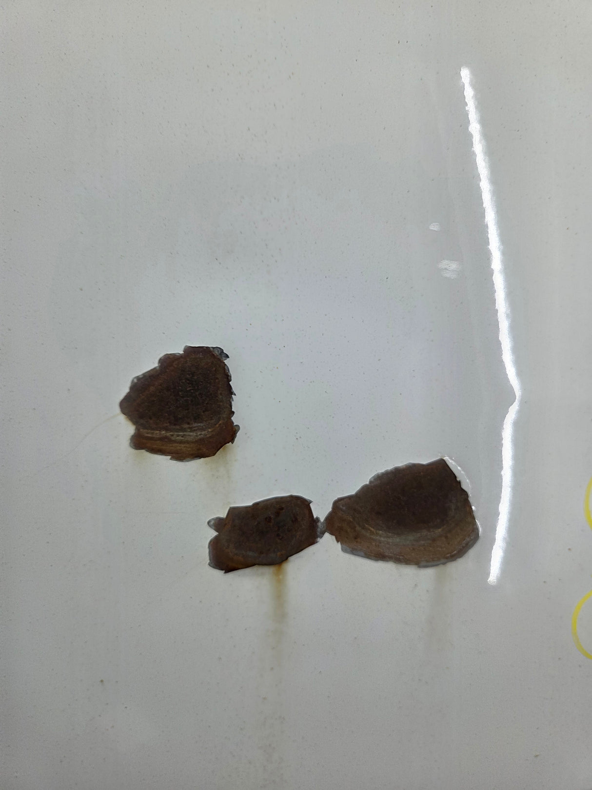 2008-2016 Ford Super Duty Tailgate F250 F350 F450 F550 - Oxford White