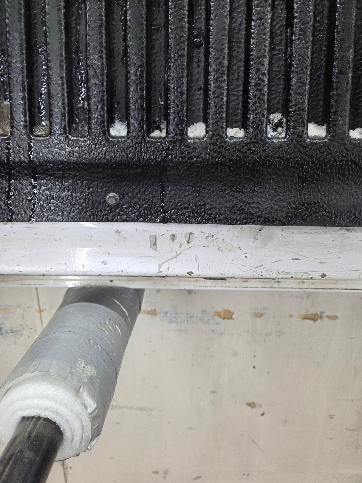 2015-2017 Ford F150 Tailgate - Oxford White