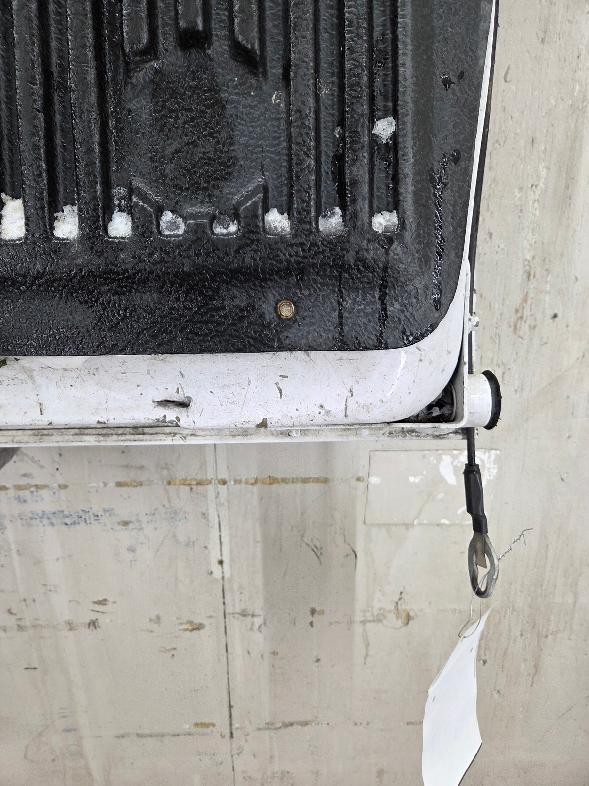 2015-2017 Ford F150 Tailgate - Oxford White