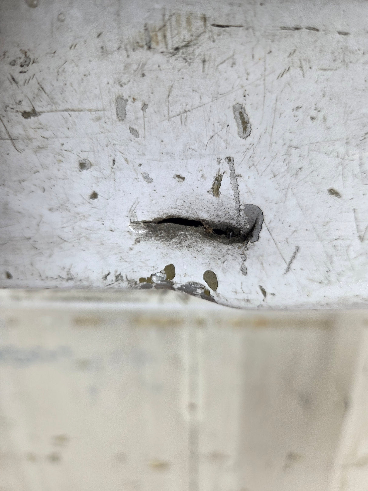 2015-2017 Ford F150 Tailgate - Oxford White