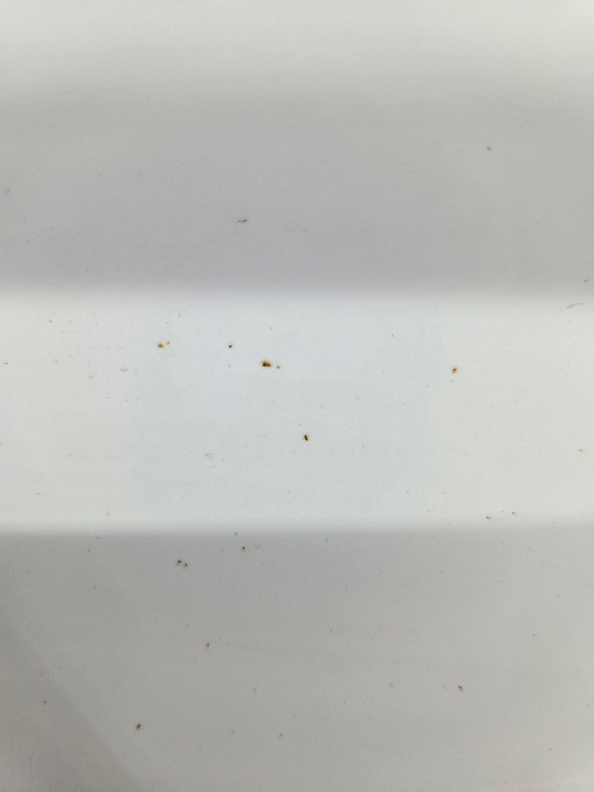 2014-2019 Chevrolet Silverado Passenger Side Front RH Fender 1500 2500 3500 HD