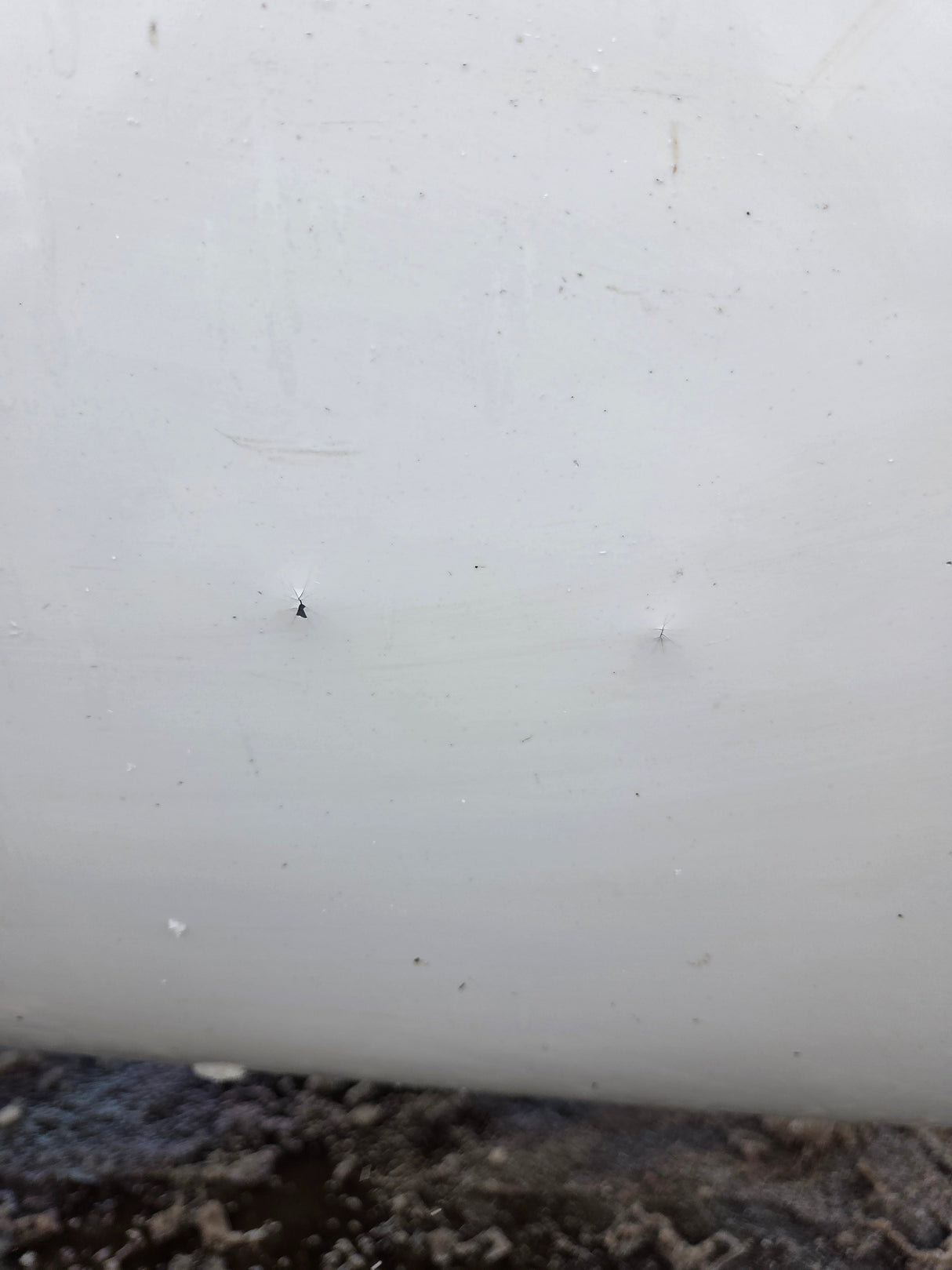 1999-2010 Ford F250 F350 Super Duty 8' Long Truck Bed