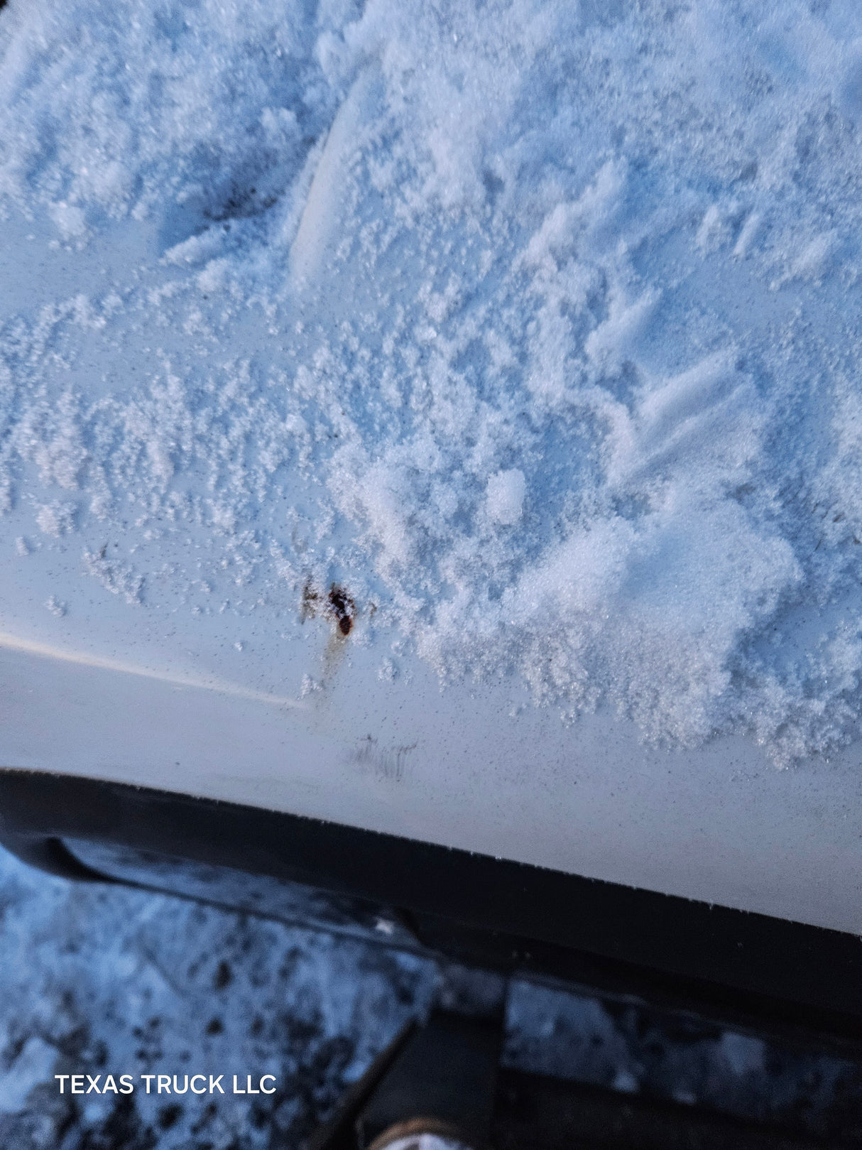 1999-2007 Ford Super Duty Extended Cab F250 F350 F450 F550