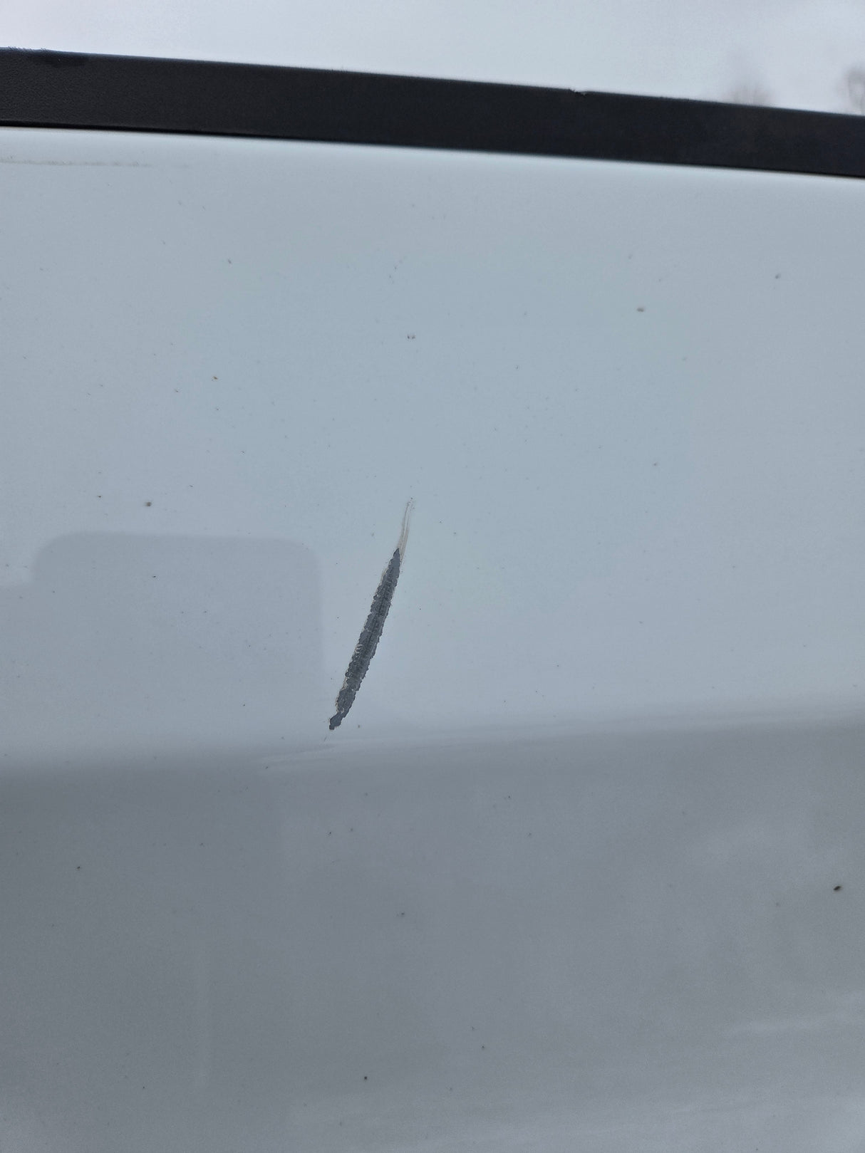 2019-2025 Chevrolet Silverado 1500 5'9" Short Truck Bed
