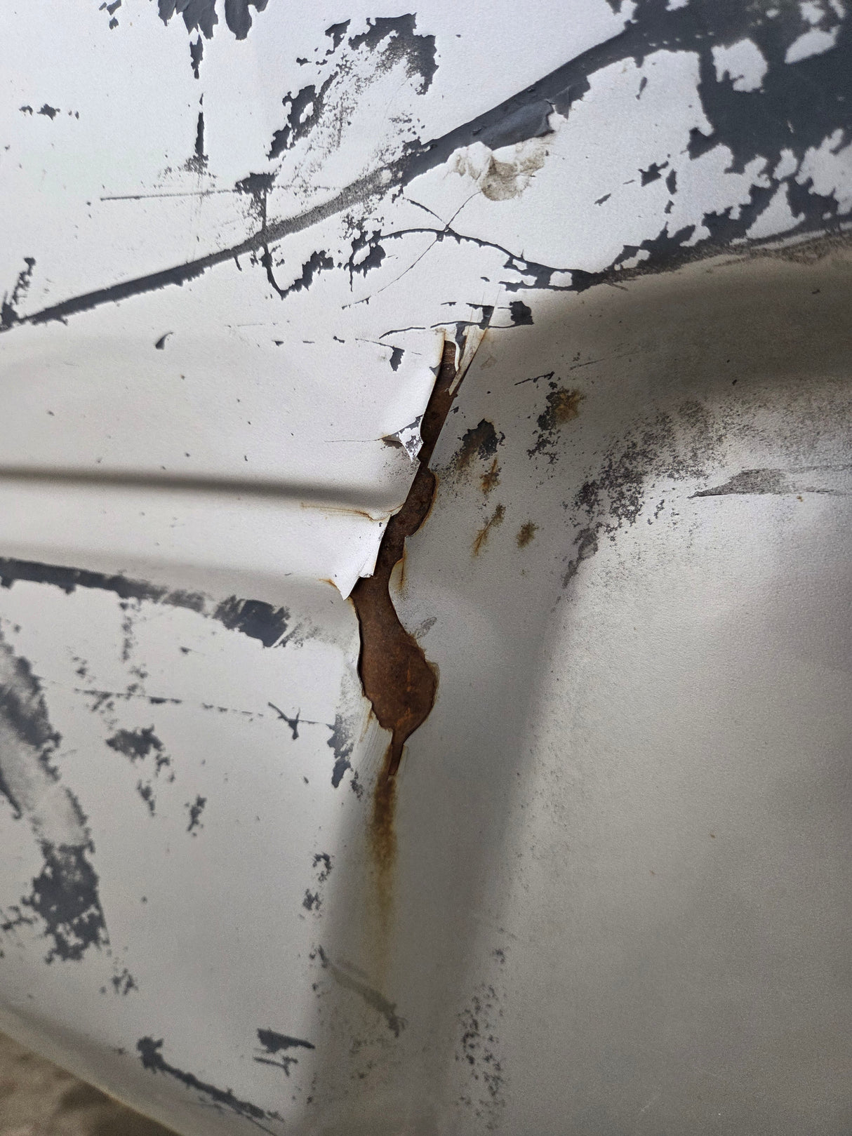 2009-2018 Dodge Ram 4th Gen 1500 2500 3500 6' 4" Short Truck Bed