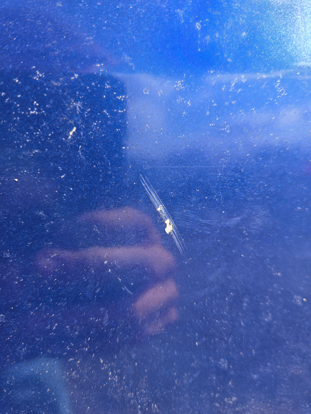 1994-1996 Dodge Dakota 2nd Gen 6' 6" Short Truck Bed