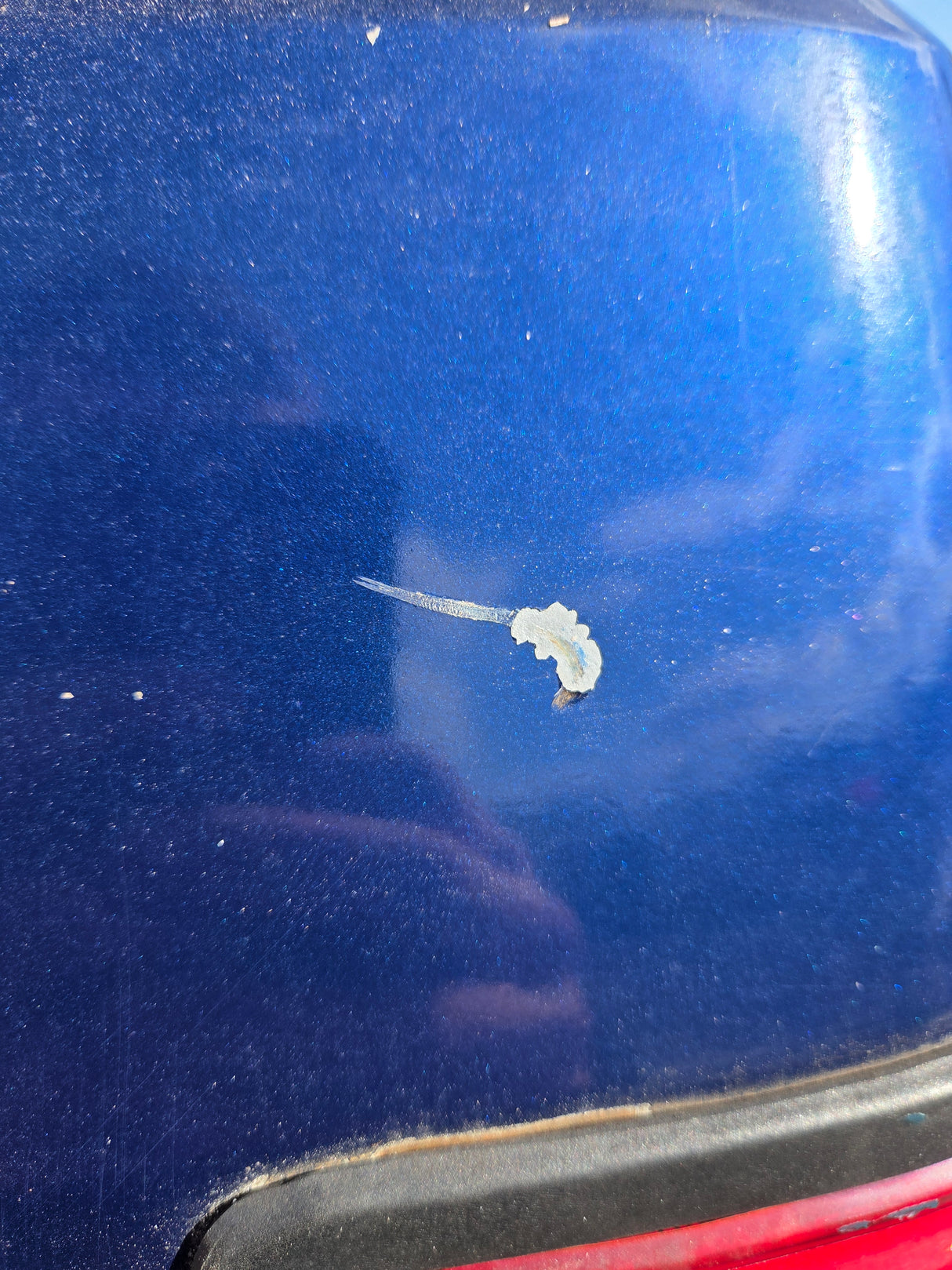 1994-1996 Dodge Dakota 2nd Gen 6' 6" Short Truck Bed