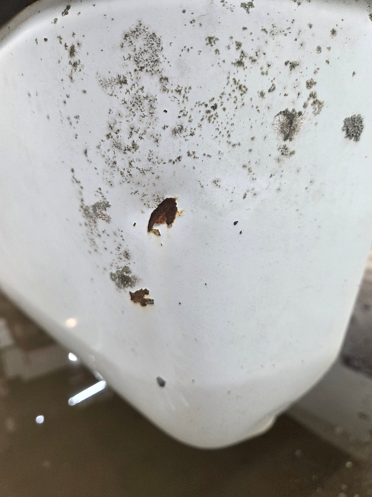 1994-2002 Dodge Ram 1500 2500 3500 2nd Gen 6' 4" Short Truck Bed