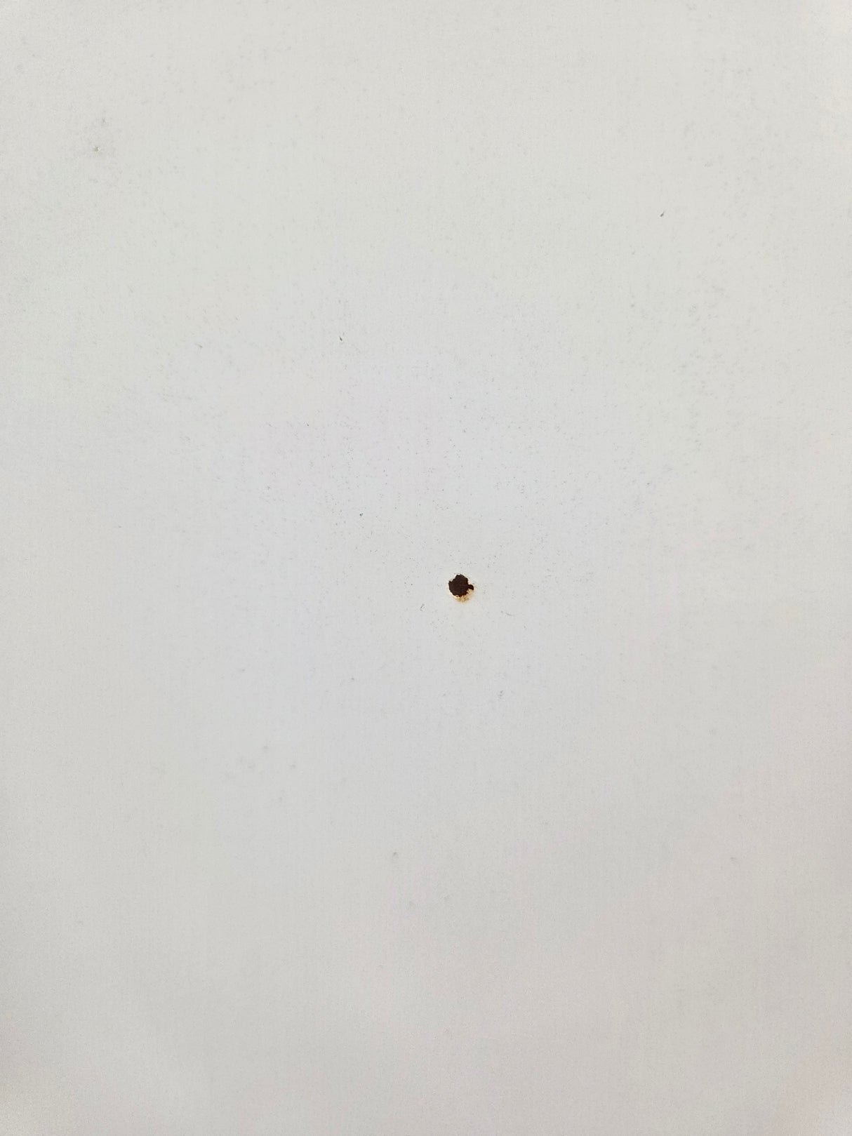 1999-2010 Ford Super Duty F250 F350 6' 9" Short Truck Bed