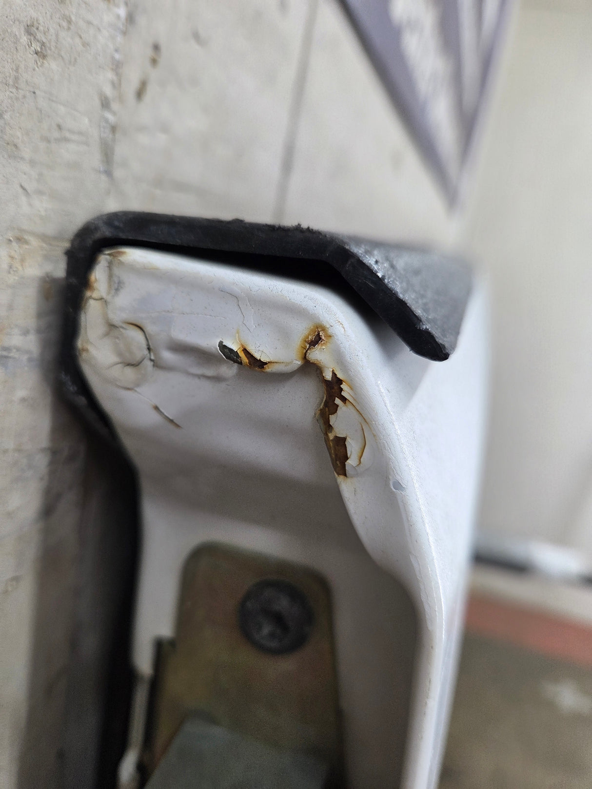 1994-2002 Dodge Ram 1500 2500 3500 2nd Gen Truck Tailgate