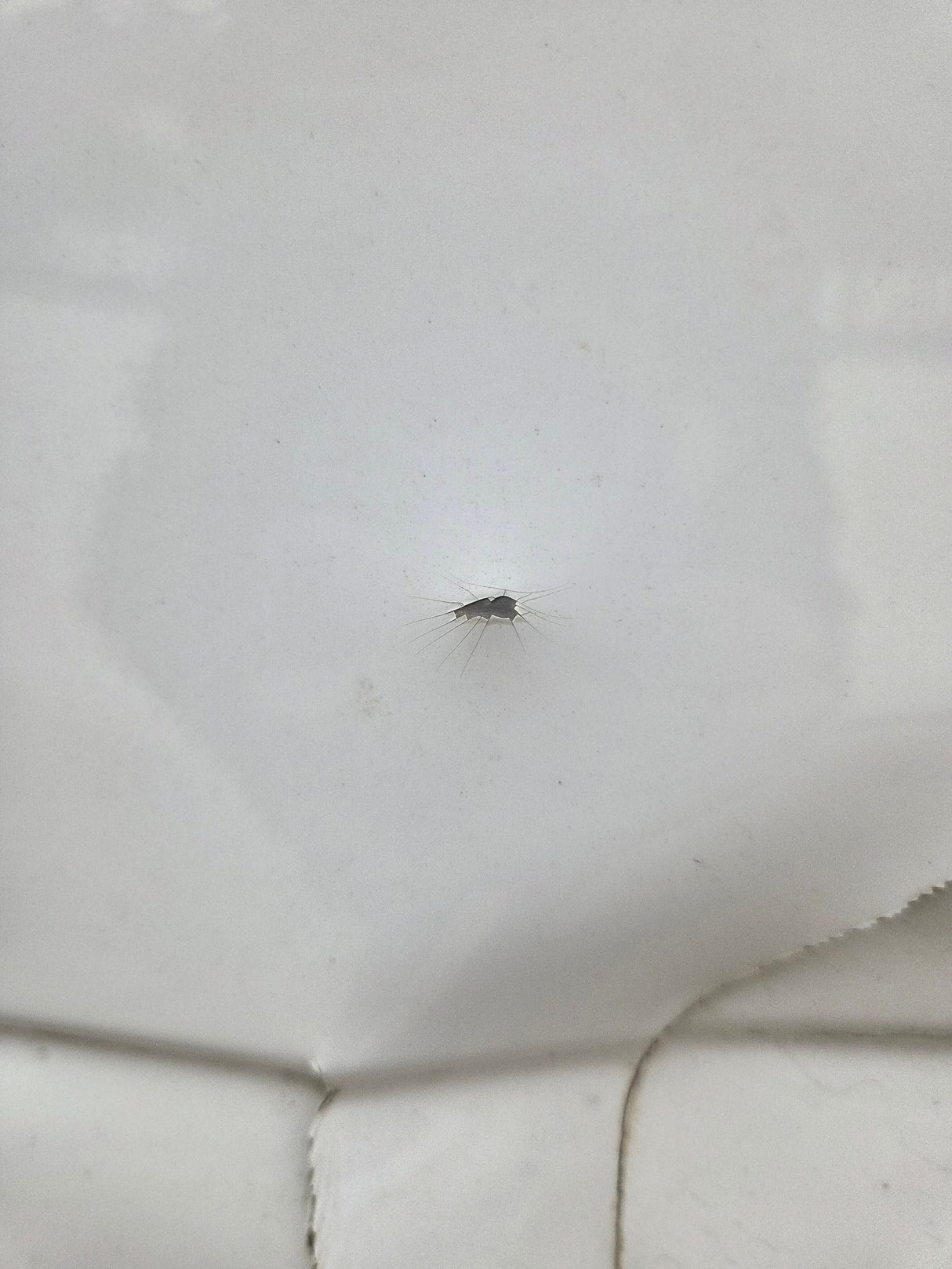 2017-2022 Ford F250 F350 Super Duty 6' 9" Short Truck Bed