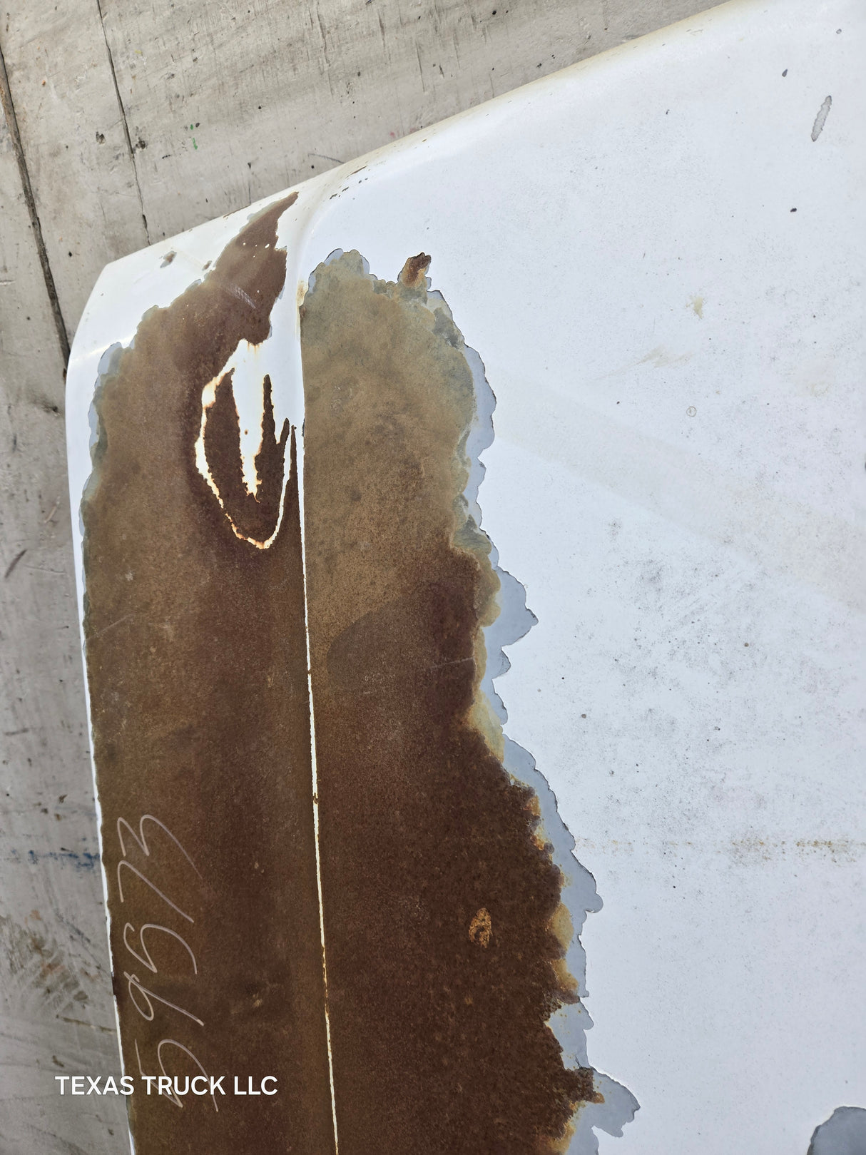 1981-1993 Dodge Ram 1st Gen HOOD W150 W250 W350 D150 D250 D350 Ramcharger