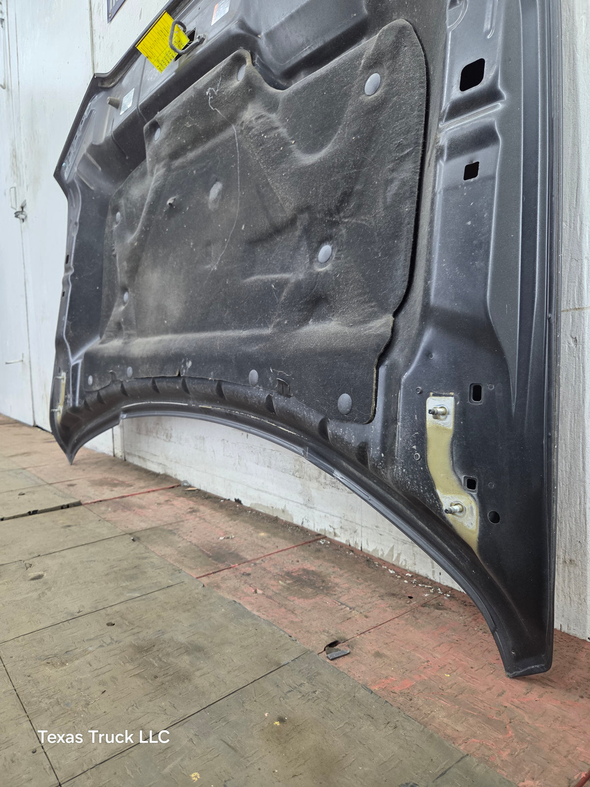2015-2020 Ford F150 Hood