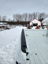 2019-2024 Dodge Ram 1500 2500 3500 5th Gen 8' Long Truck Bed