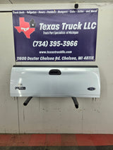 1997-2003 F150 / 1999-2007 Ford Super Duty Tailgate F250 F350 F450 F550