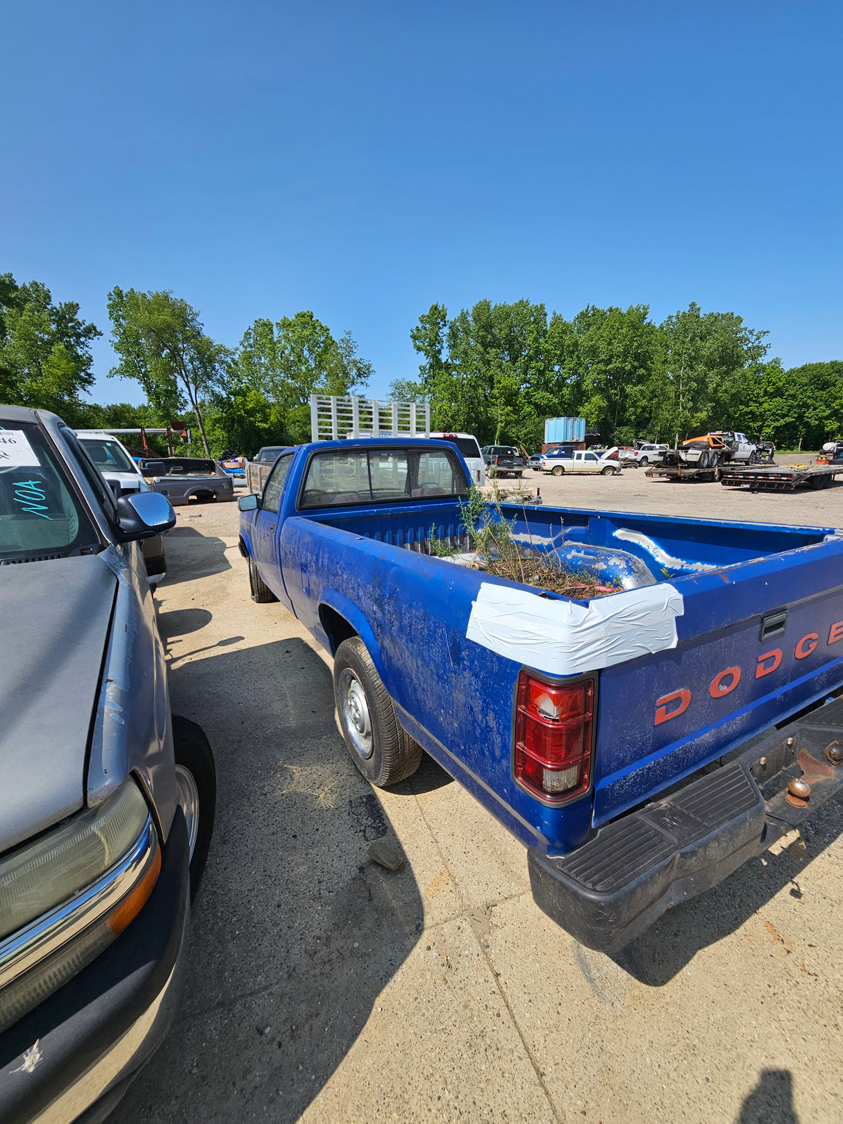 1996 Dodge Dakota Regular Cab 2 Door Pickup  - FULL PART OUT