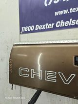1988-1998 Chevrolet / GMC 1500 2500 3500 HD Tailgate - Brown