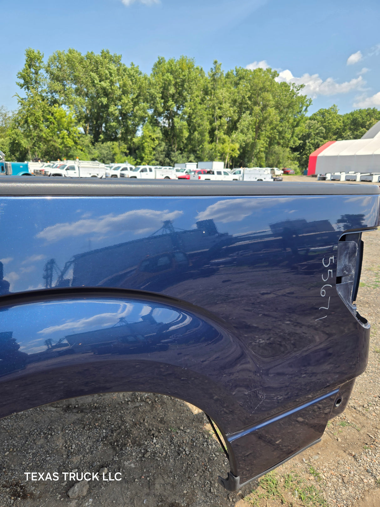 2009-2014 Ford F150 6' 6" Short Truck Bed - Blue