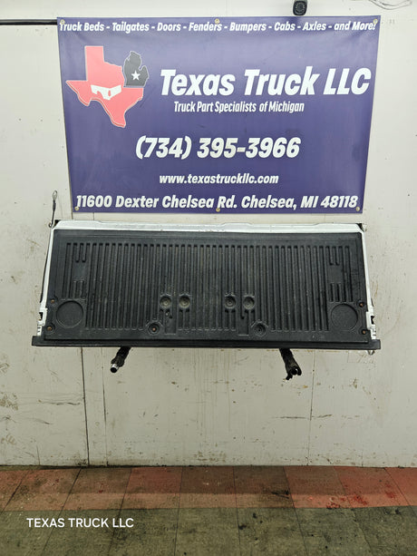 2009-2014 Ford F150 Tailgate - Silver SEE DISCRIPTION