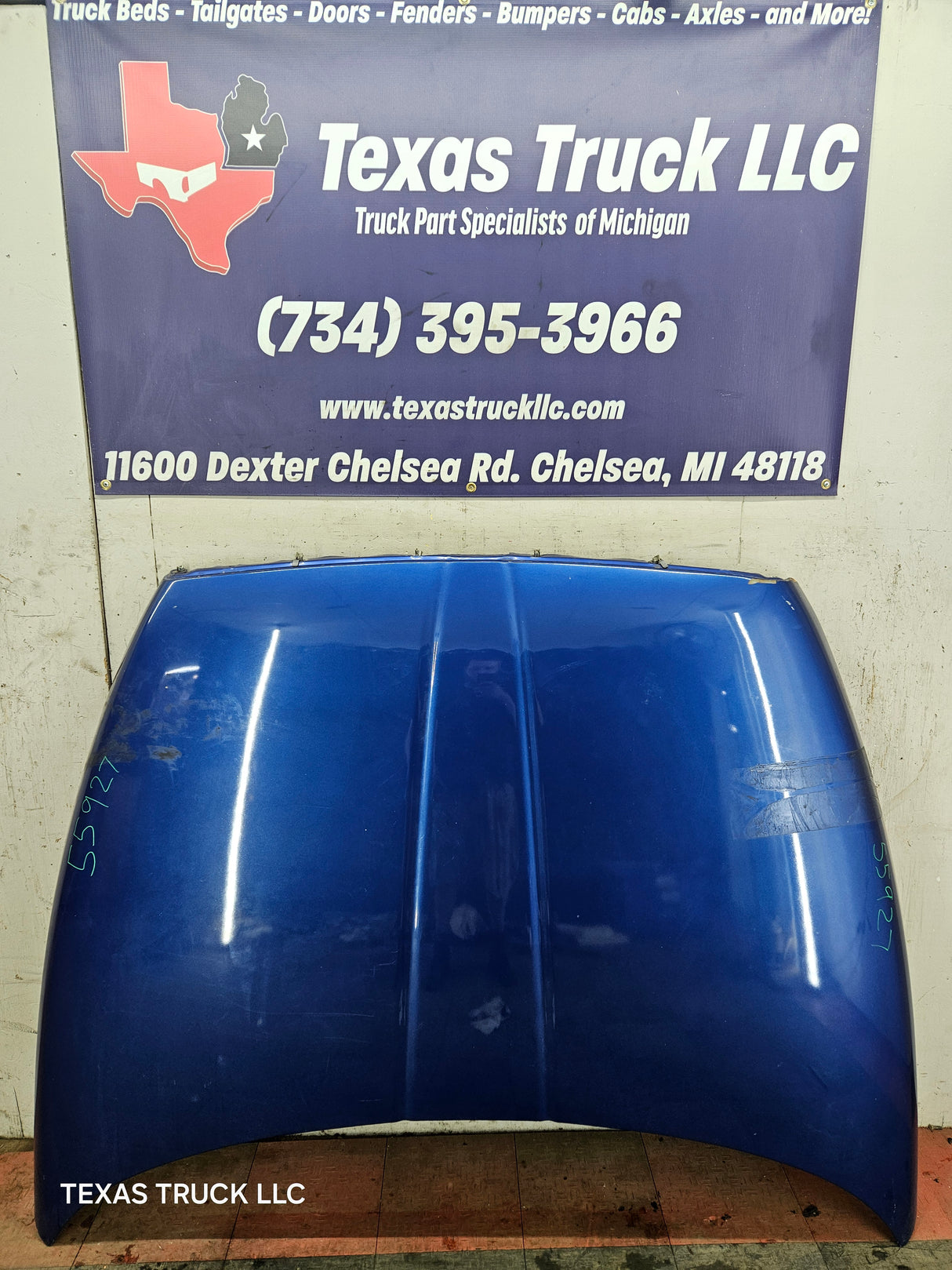 1994-2002 Dodge Ram 2nd Gen 1500 2500 3500 Hood - Blue