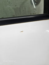 1999-2006 Chevrolet Silverado / GMC Sierra 1500 2500 3500 HD Front Passenger side Door RH