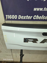 2019-2025 Dodge Ram 2500 3500 4500 5th Gen Tailgate - White