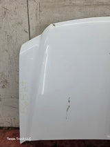 1999-2007 Ford Super Duty Hood F250 F350 F450 F550