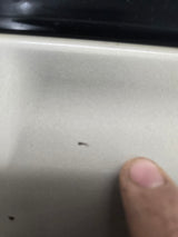 1999-2006 Chevrolet Silverado / GMC Sierra 1500 2500 3500 HD Rear Passenger side Crew Cab rear door RH - Fine Silver Birch Metallic