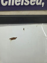 2008-2016 Ford Super Duty Tailgate F250 F350 F450 F550 - Oxford White