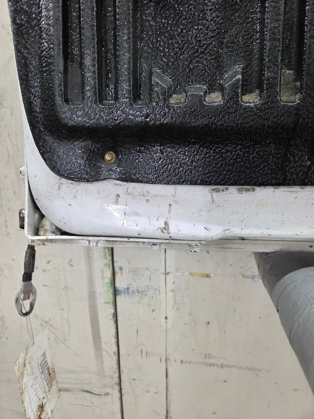 2015-2017 Ford F150 Tailgate - Oxford White