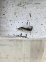 2015-2017 Ford F150 Tailgate - Oxford White