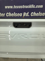 2019-2025 Chevrolet Silverado 2500 3500 Truck Tailgate