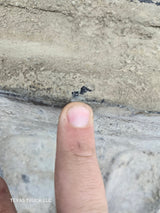 1997-2003 F150 / 1999-2007 Ford F250 F350 F450 F550 Super Duty Tailgate