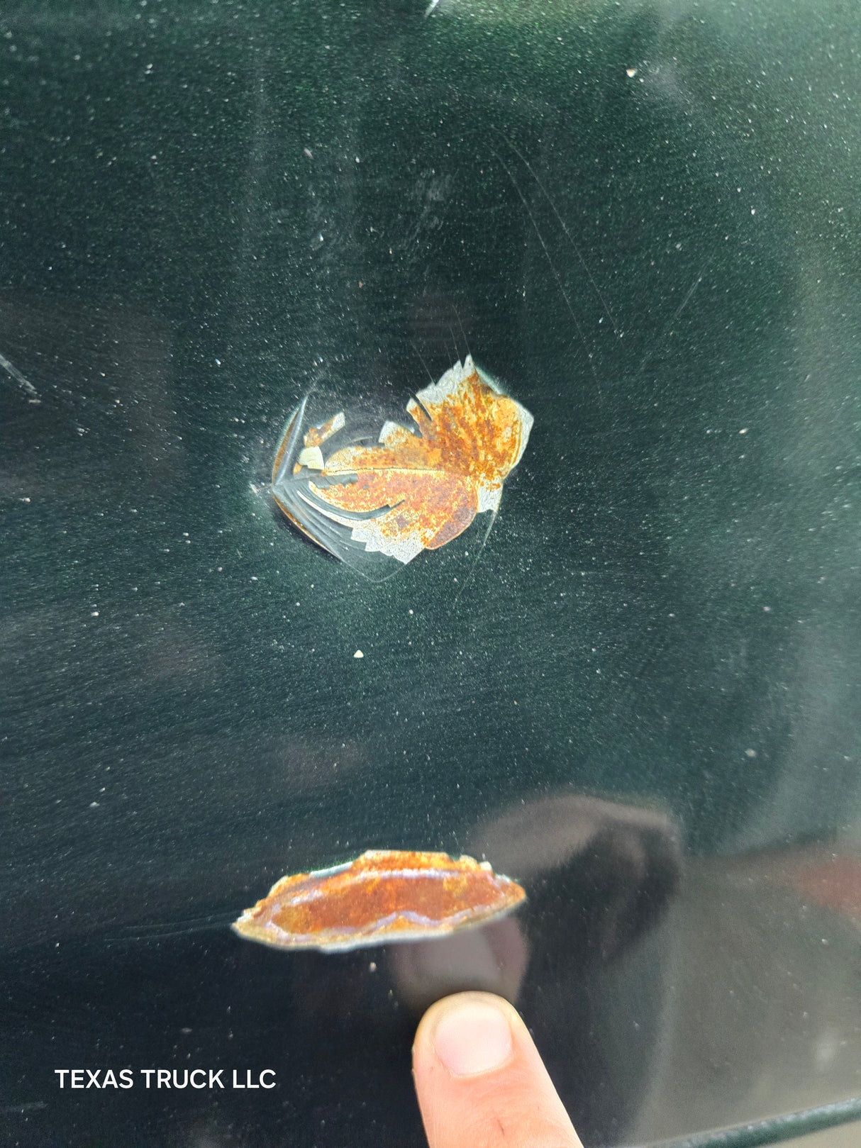 2008-2016 Ford Super Duty Tailgate F250 F350 F450 F550 - Dark Green