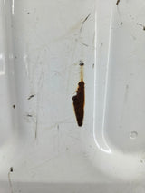 2009-2018 Dodge Ram 4th Gen 1500 2500 3500 Tailgate