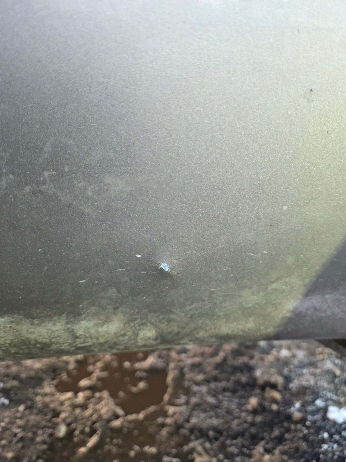 2011-2016 Ford F250 F350 Super Duty 8' Long Bed Truck Bed