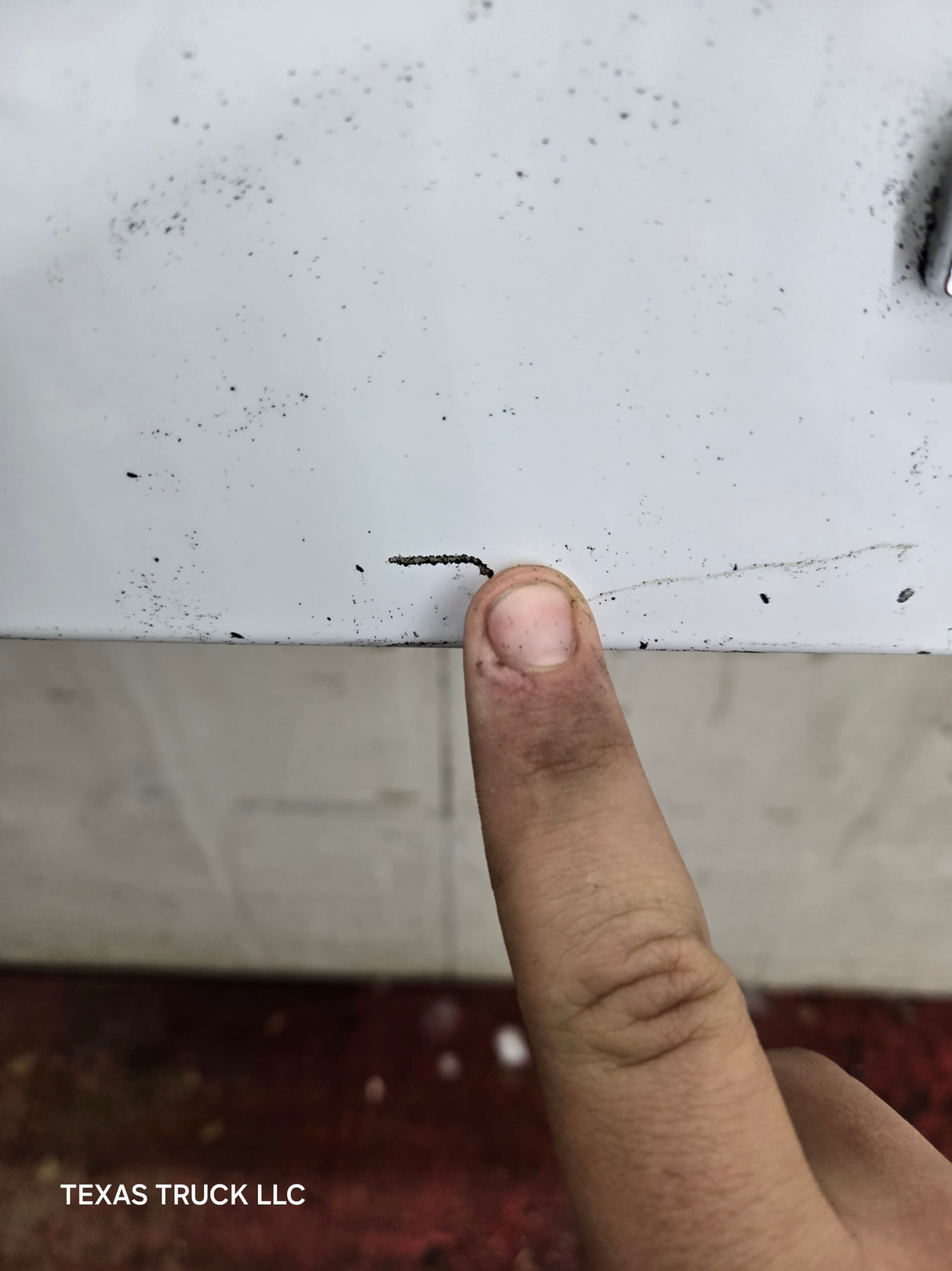 2021-2025 Ford F150 Tailgate / Lid - Oxford White