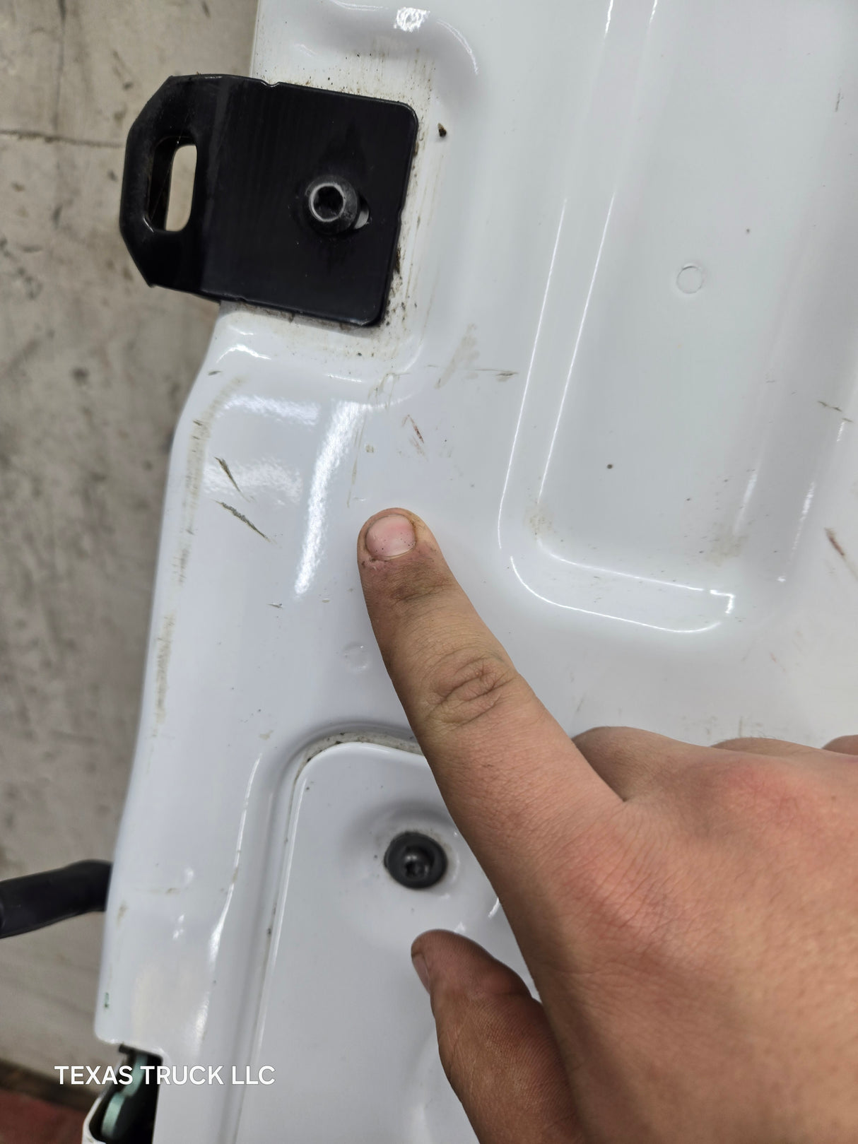 2021-2025 Ford F150 Tailgate / Lid - Oxford White